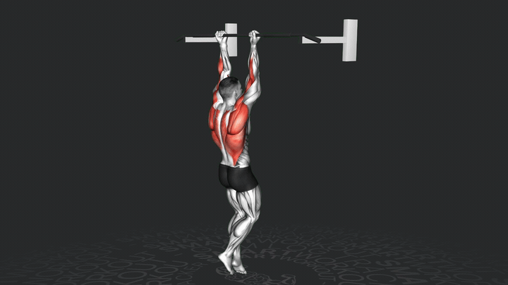 Подтягивание обратным хватом