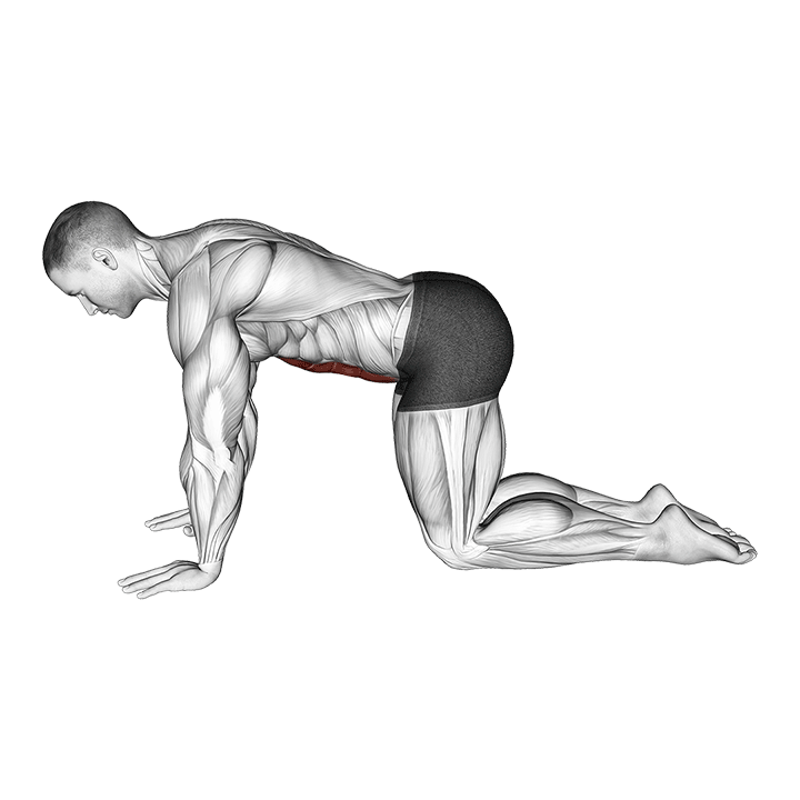 Aspiration abdominale