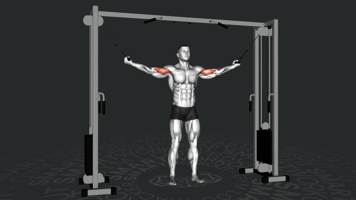 Сгибание рук "Геркулес"