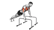 Deep Push Up On Parallel Bars
