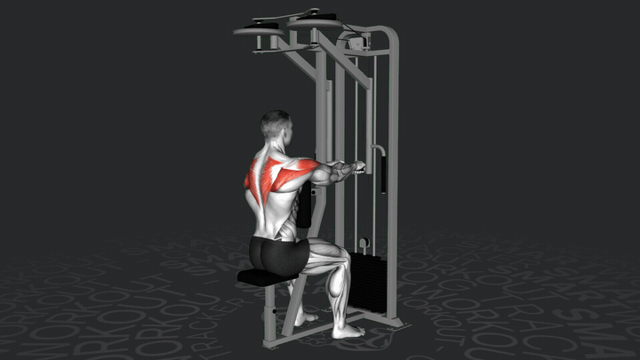 Machine Reverse Flyes