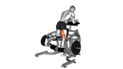 Standing Leg Curl