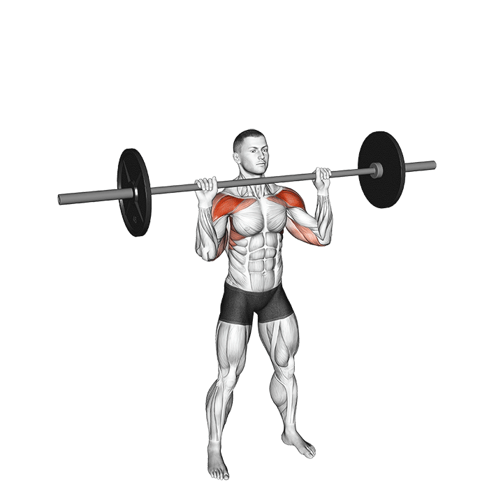 Barbell Overhead Press