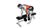 Rowing avec haltères