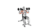 Seated Dumbbell Shoulder Press