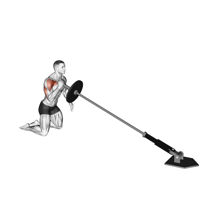 Landmine Press