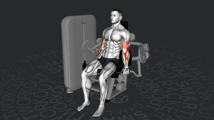 Сгибание рук на тренажере