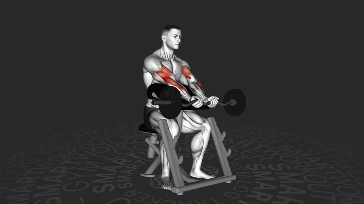 Сгибание рук на скамье Скотта с EZ-грифом