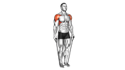 Band Lateral Raise
