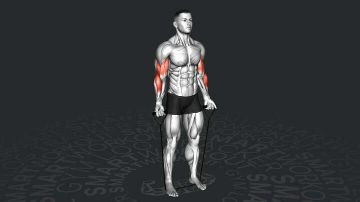 Сгибание рук с резинкой