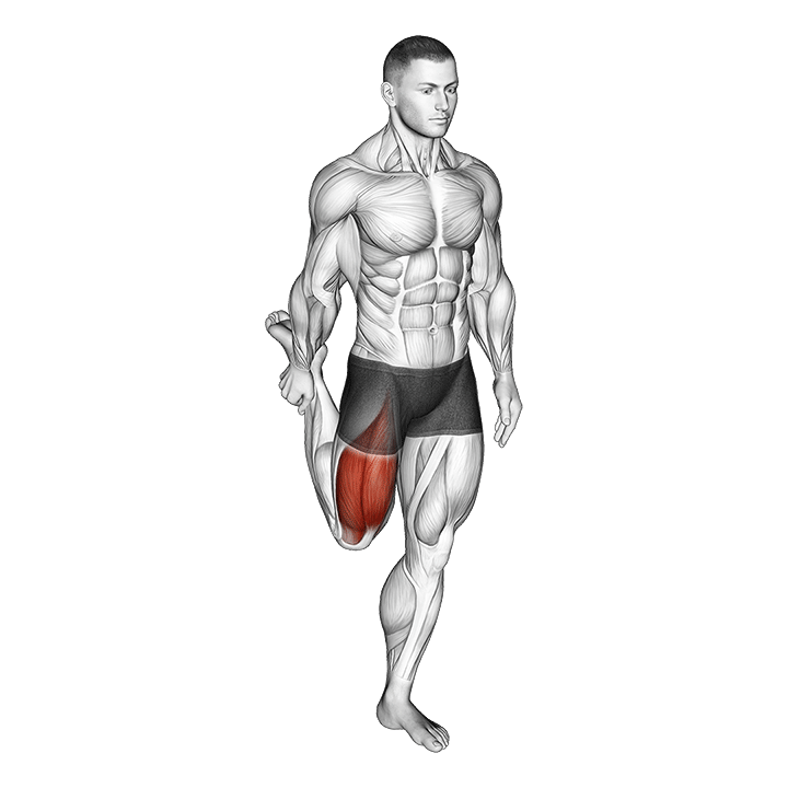 Standing Quadriceps Stretch