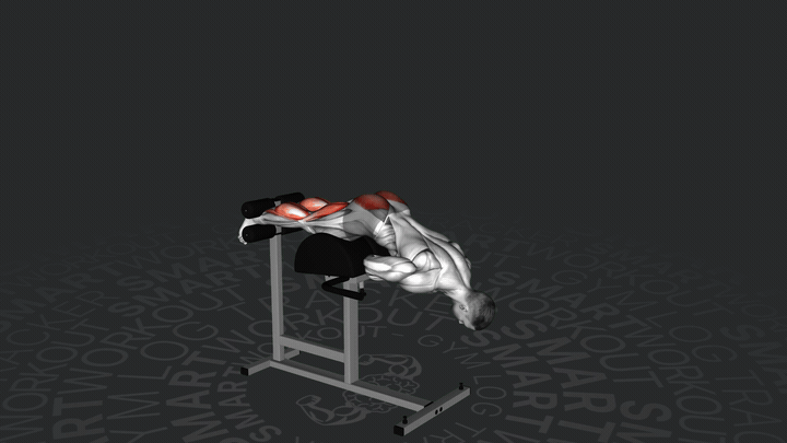 Sollevamento Gluteo-Femorale 1/2