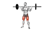 Squat sumo avec barre