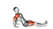 Planche inversée