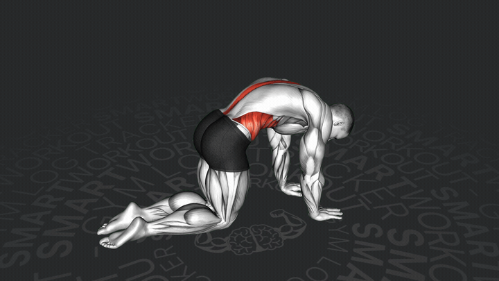 Кошка-корова