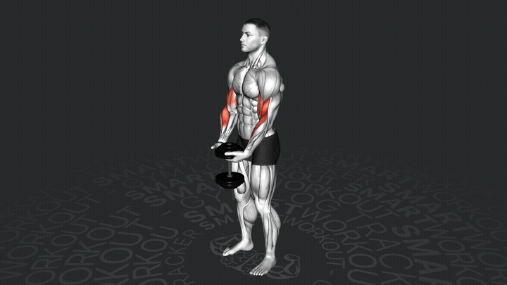 Сгибание рук с гантелью одной рукой