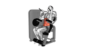 Machine Abdominal Crunches