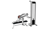 Glute Cable Kickback