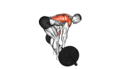 Barbell Bent Over Row