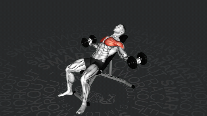 Apertura de Pecho con Mancuernas en Banco Inclinado