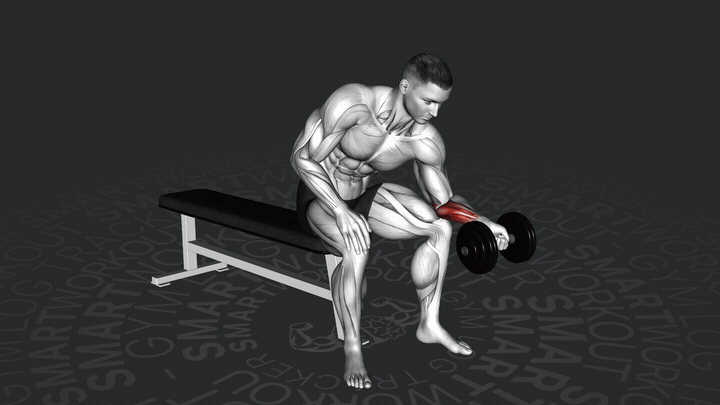 Einarmige Handgelenkbeugung mit Kurzhantel