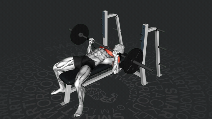 Press de Banca con Banda de Resistencia