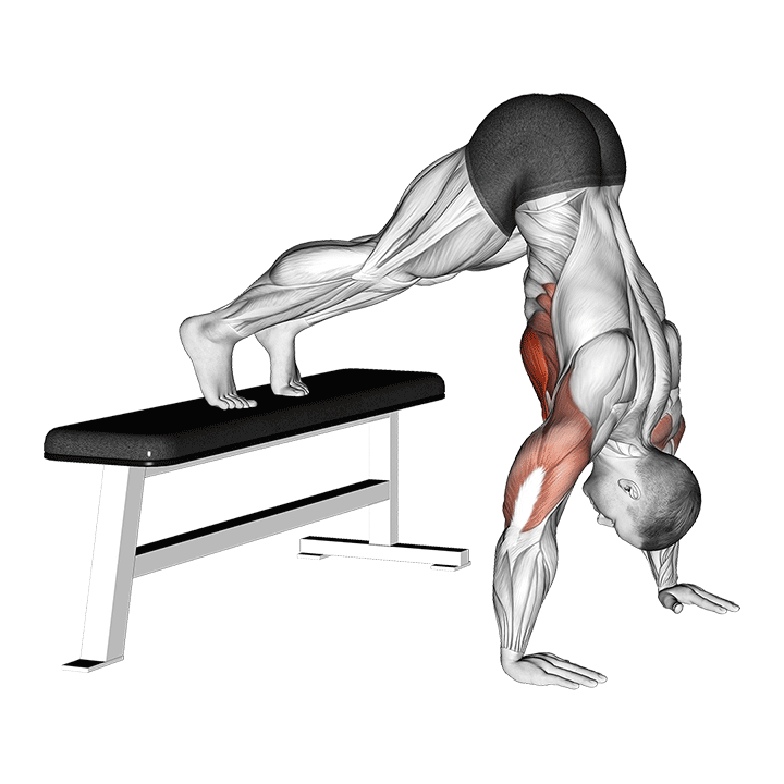 Pike Push-Up On Bench