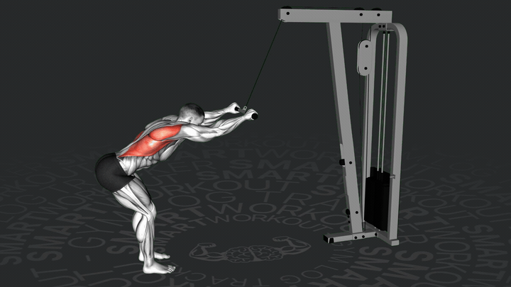 Тяга верхнего блока прямыми руками