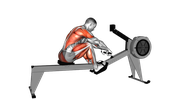 Rowing Machine
