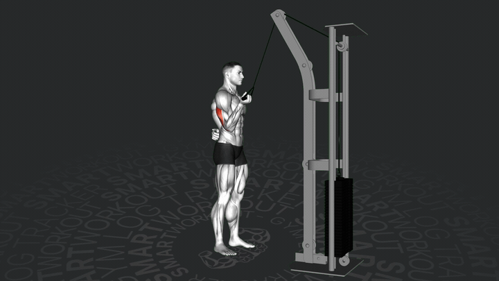 Einarmiges Trizeps-Kabeldrücken im Untergriff