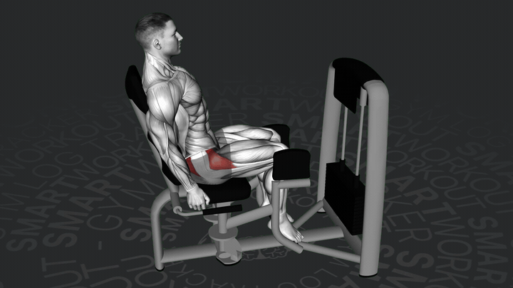 Abduction de la hanche assis