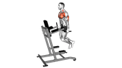 Dips