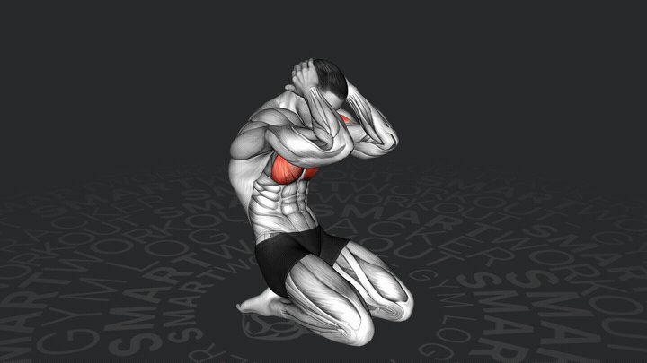 Almeja de Pecho Sentada