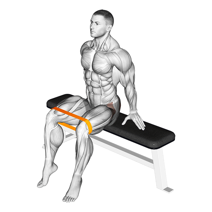Abduction de la hanche avec bande en position assise