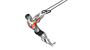 Ring Face Pull