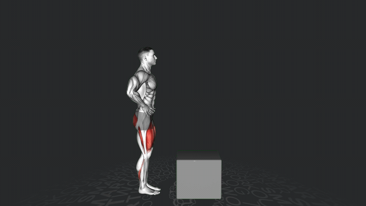 Salita su gradino con manubri