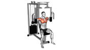 Écarté à la machine Pec Deck
