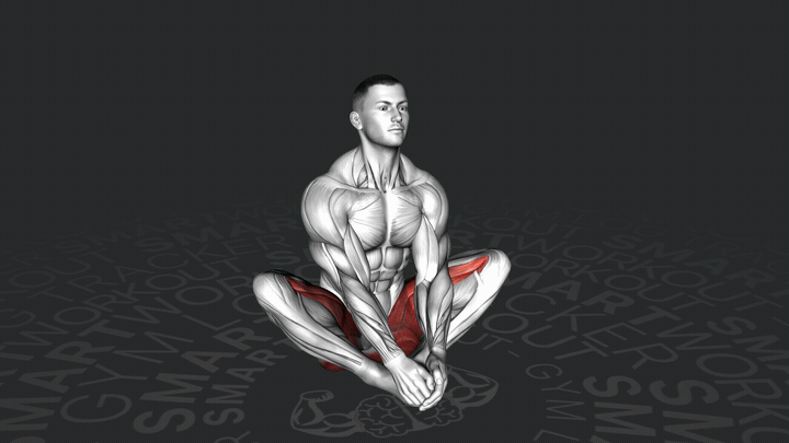 Allungamento a Farfalla