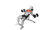 Incline Dumbbell Chest Fly