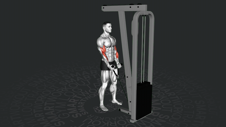 Молотковые сгибания рук на блоке с канатом