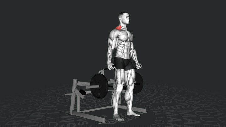 Шраги на тренажере