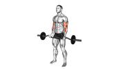 Curl biceps à la barre EZ