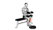 Weighted Seated Calf Raise