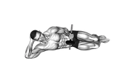 Dumbbell Lying Pronation