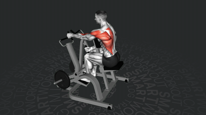 Тяга в наклоне одной рукой сидя