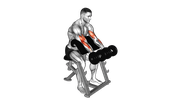 Double Dumbbell Preacher Curl