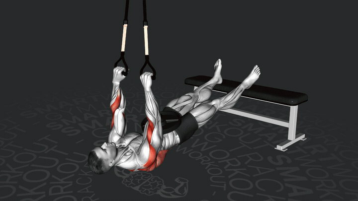 Подтягивания в перевернутом положении на подвесных ремнях