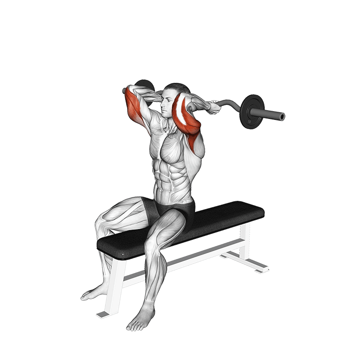 EZ Bar Seated Triceps Extension