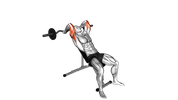 Extension des triceps à la barre sur banc incliné
