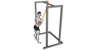 Extension des triceps avec bande élastique